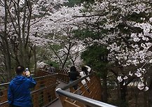 만인산 이미지