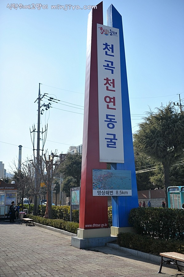 동해먹거리장터 이미지