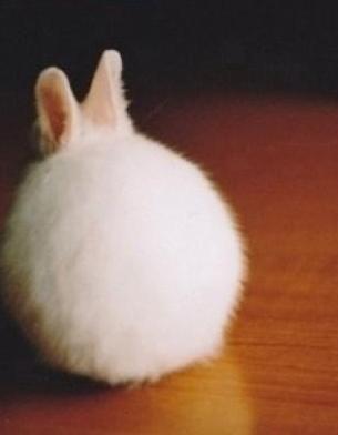 여자들이 반할 수 밖에 없다는 뒷모습 ㄷㄷㄷ.JPG | 인스티즈